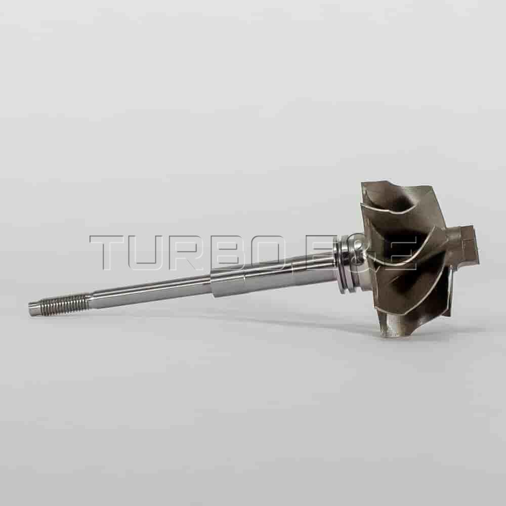 TW-0051-1