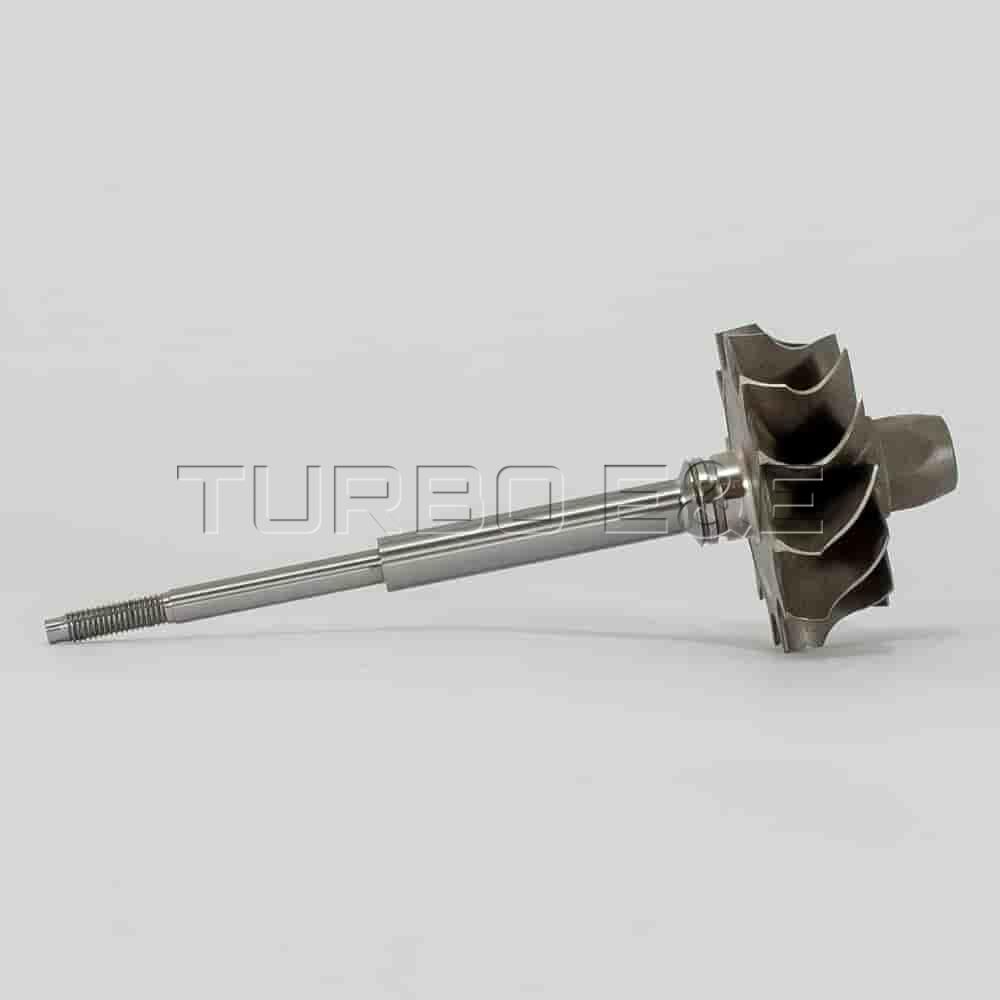TW-0095